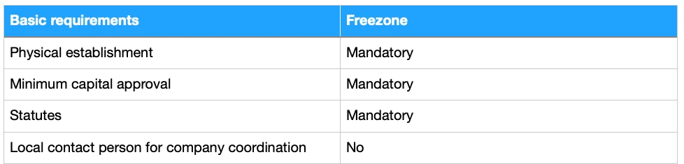 Freezone in Dubai (3)
